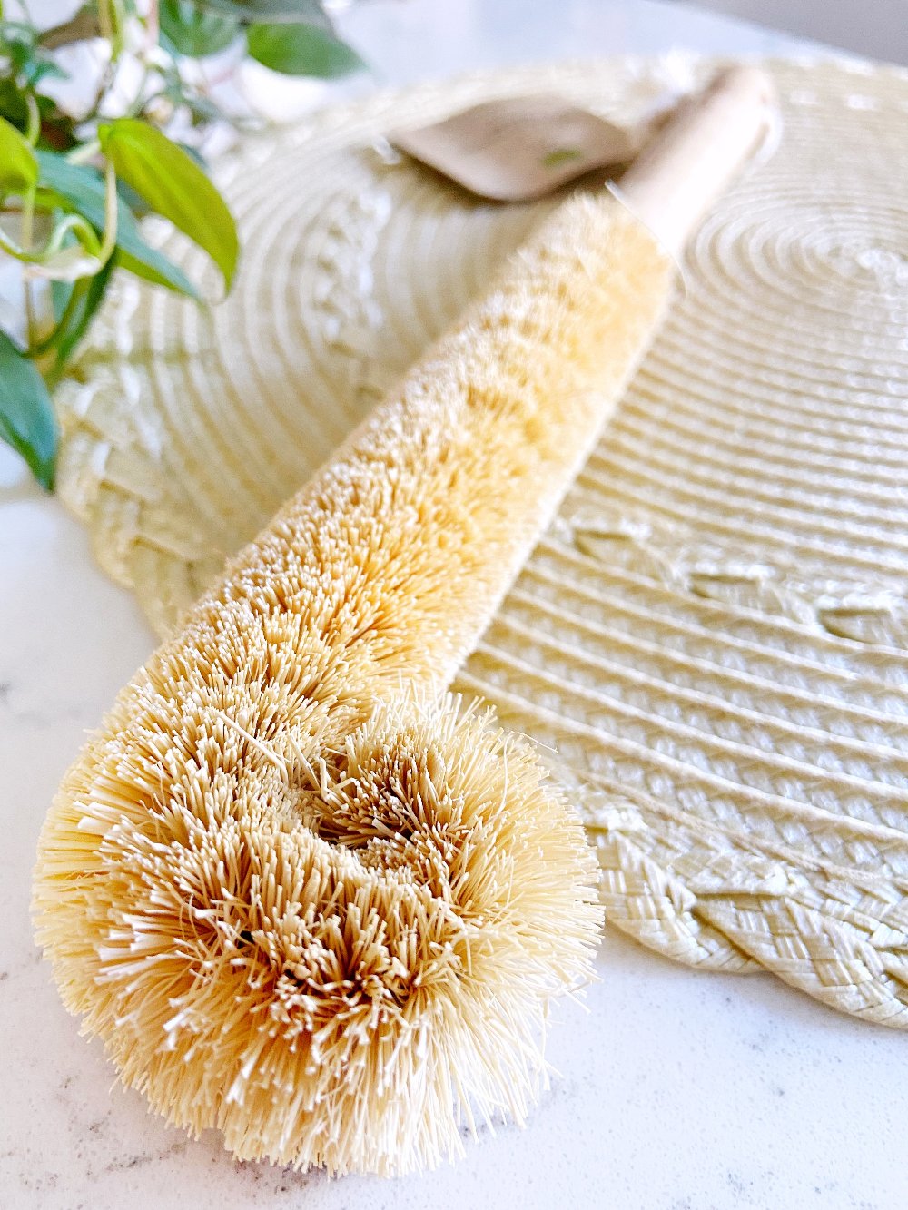 Drinkware Cleaning Brush/Wood handle and Coconut Bristles
